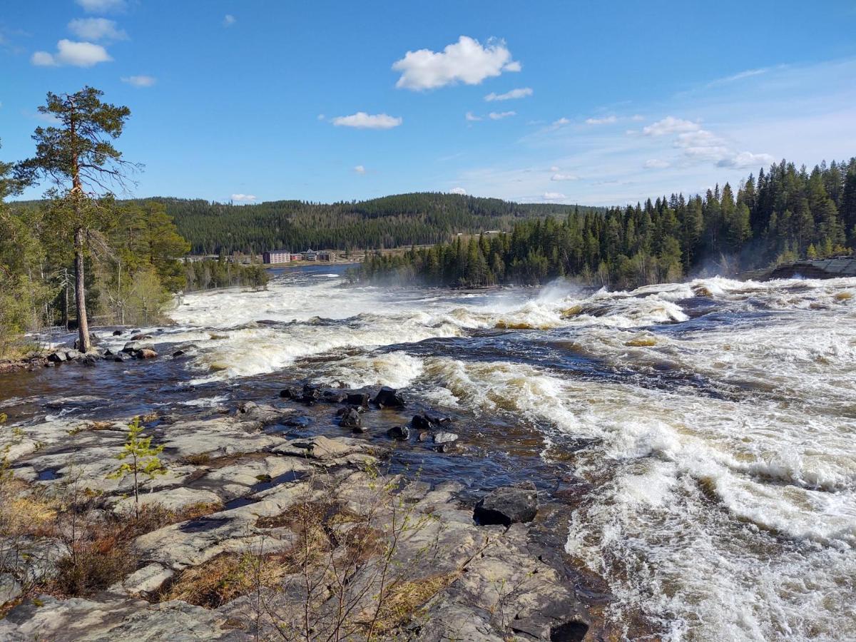 Casa vacanze Lagomhuset - A Peaceful In Swedish Lapland *