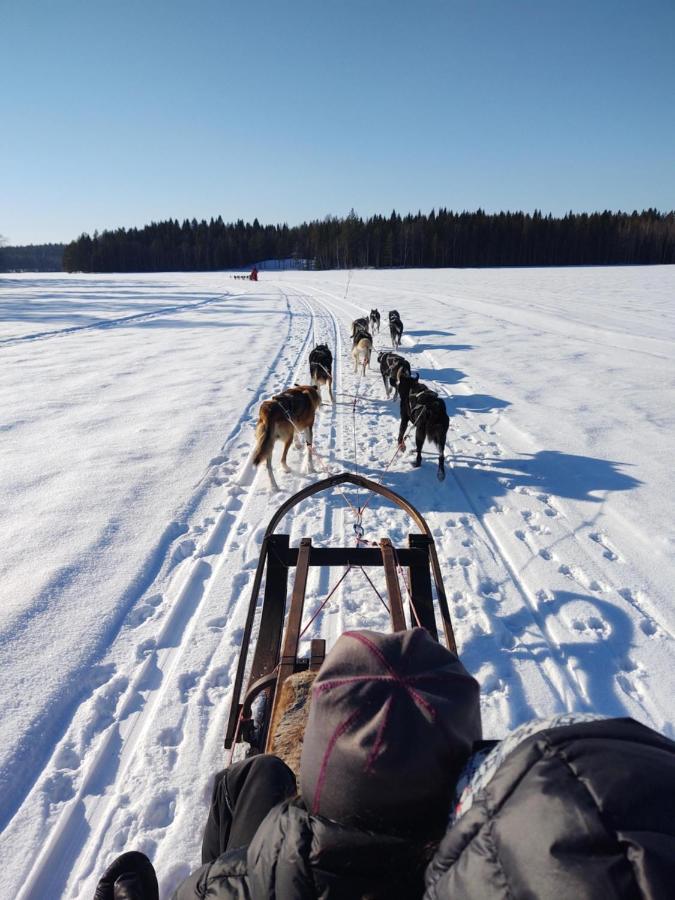 Holiday home Lagomhuset - A Peaceful In Swedish Lapland